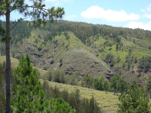 Halawa Valley | Molokai